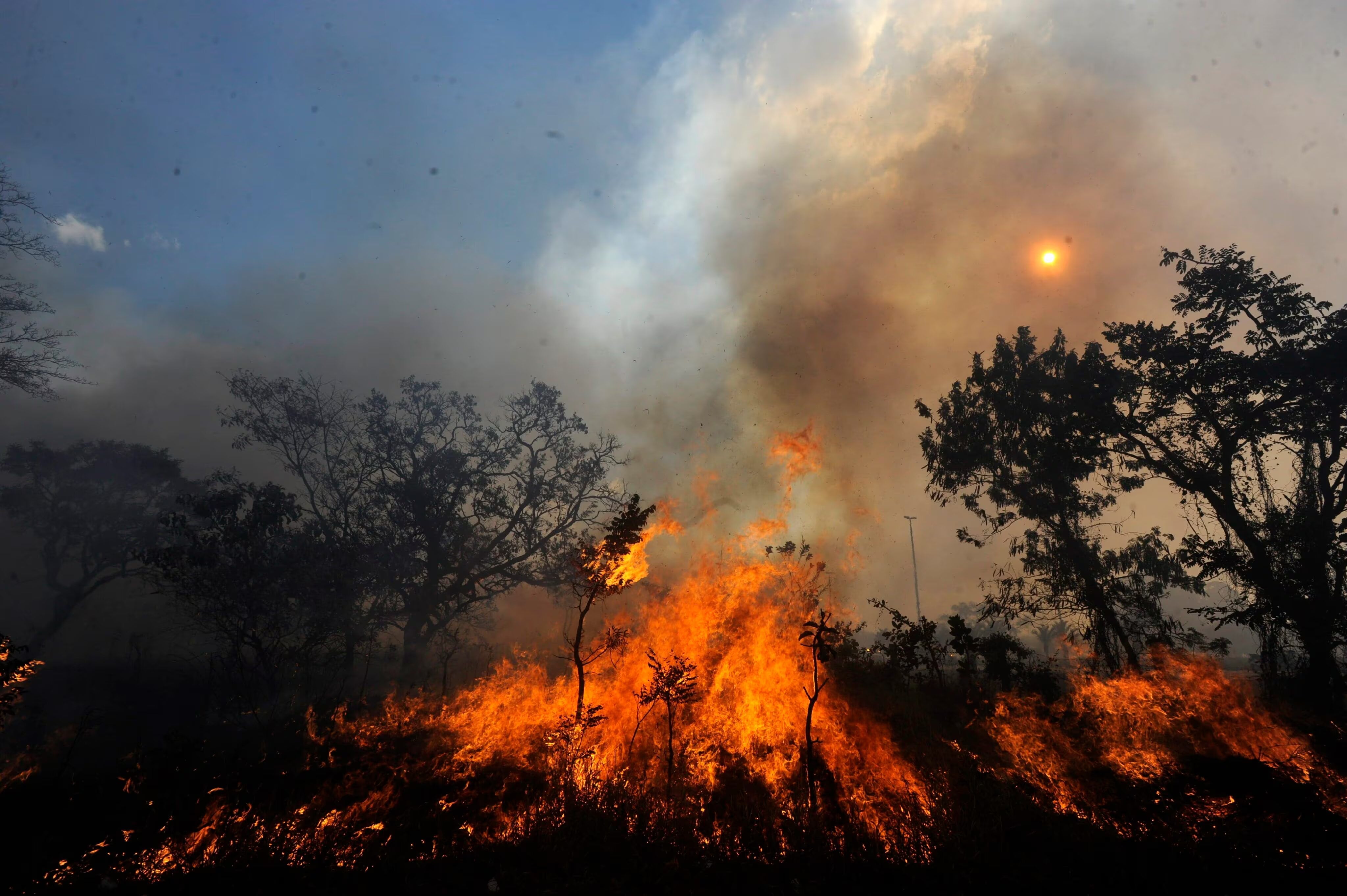 En Colombia se presentan más de 140 incendios forestales en los primeros días del 2024
