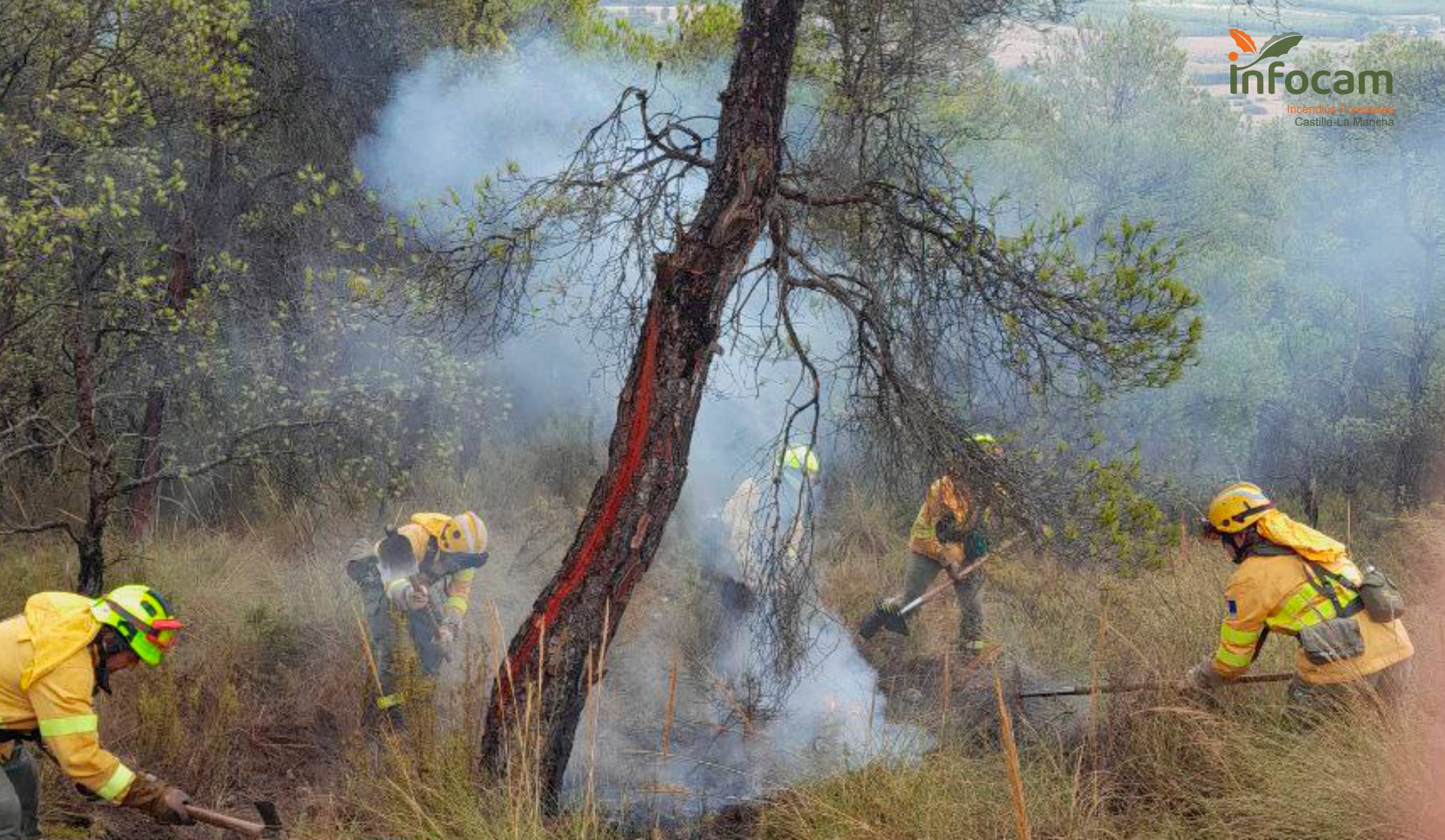 Sin Incendios forestales cerró el mes de enero