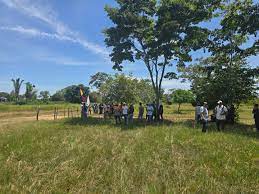 Ganaderos del Huila denuncian amenazas e invasiones