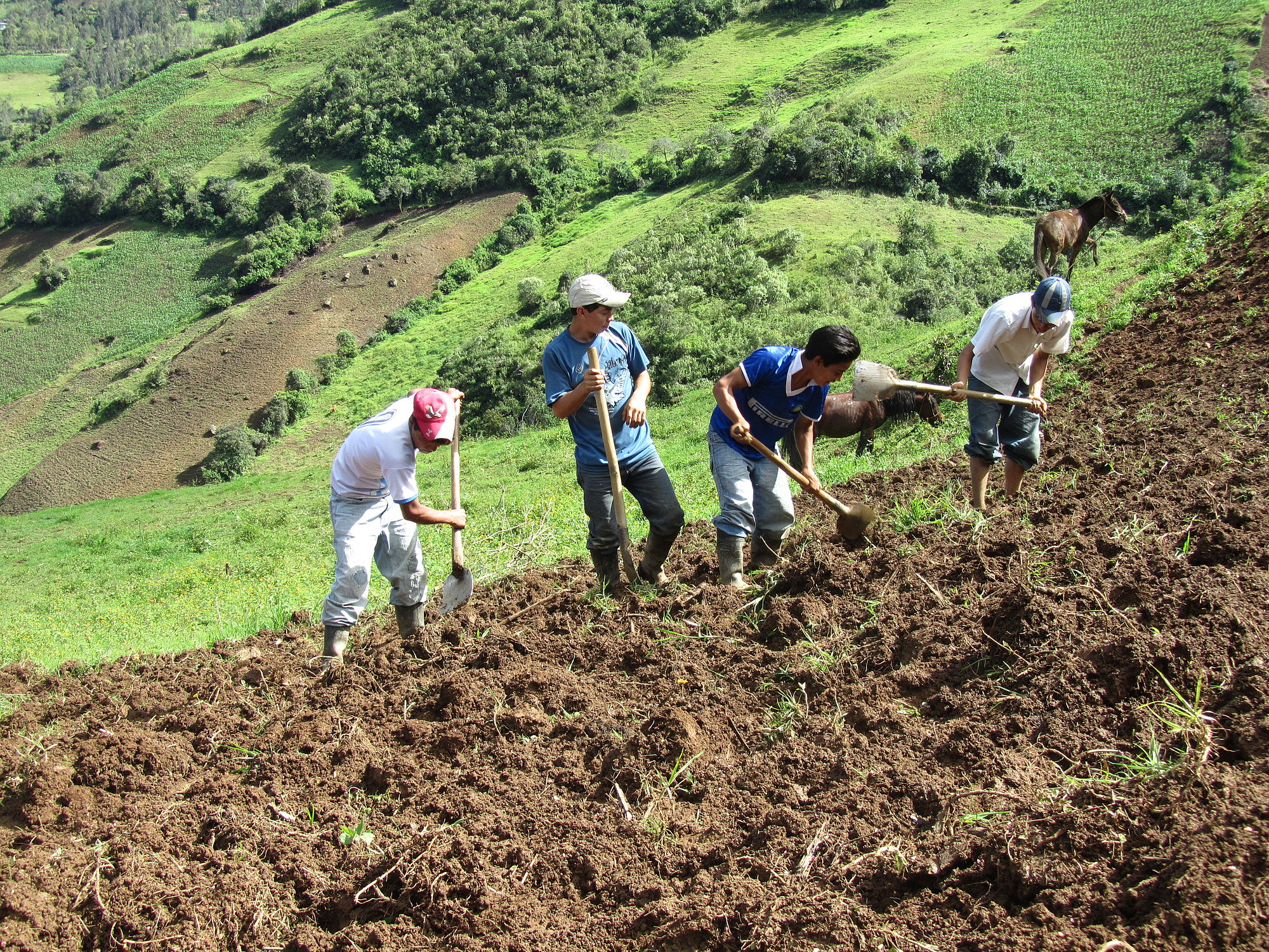 Se requieren en Colombia políticas públicas que empoderen a las juventudes rurales y promuevan su participación en el desarrollo rural
