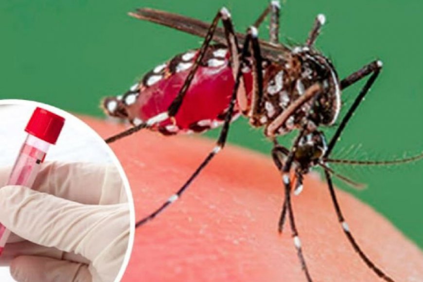 Alerta por casos de dengue.