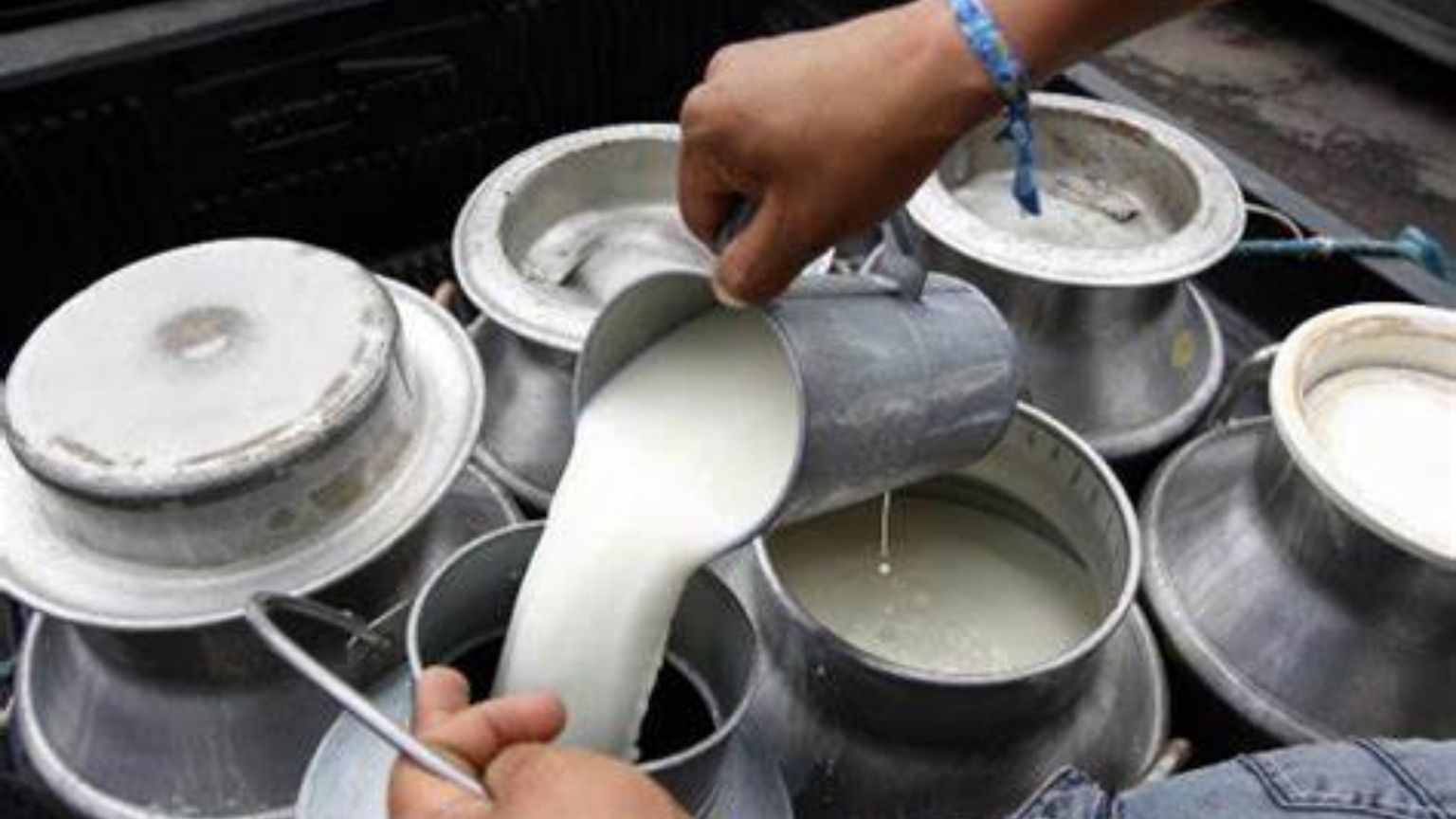Productores de leche botan el líquido a falta de compradores