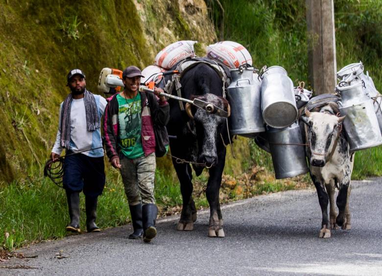Preocupación por crisis del sector lechero.