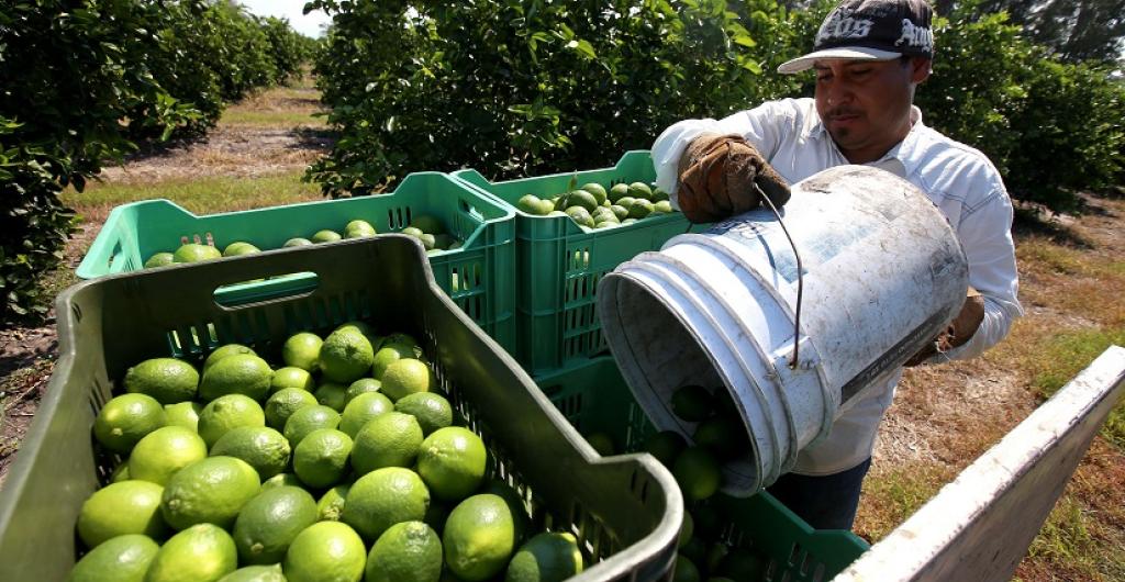 Se debe fortalecer la canasta exportadora del Huila