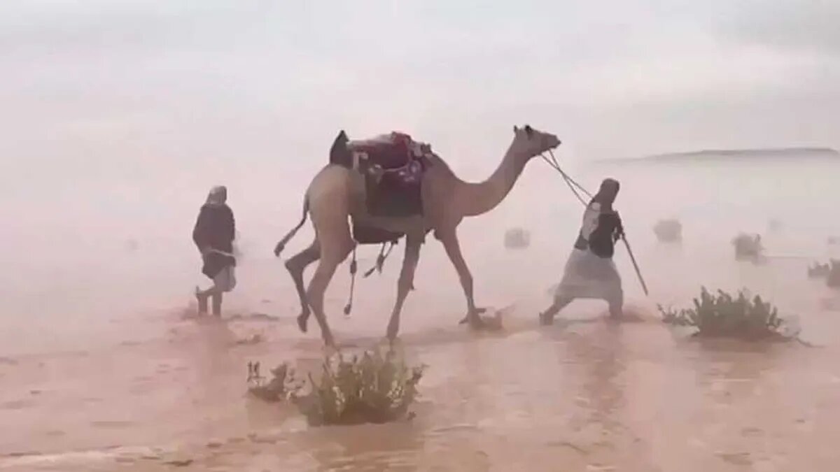 ¡Increíble! Llovió en el desierto del Sahara