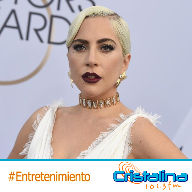 LA FORTUNA EN PESOS COLOMBIANOS QUE OFRECE LADY GAGA POR RECUPERAR A SUS PERROS ROBADOS