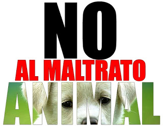 Casos de abandono o maltrato animal, se “disparan