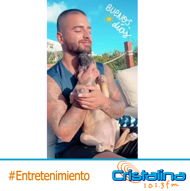 MALUMA RECIBE CRÍTICAS EN REDES POR LLAMAR A UN PERRITO “LADY NORIEGA”