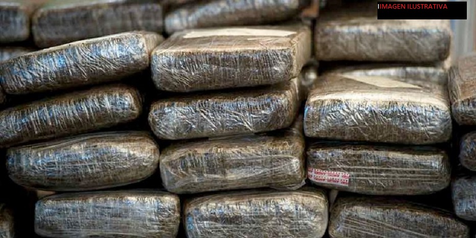 Incautan 1.273 kilos de marihuana cripy