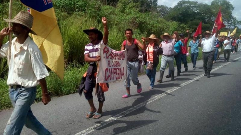 Se prepara movilización campesina