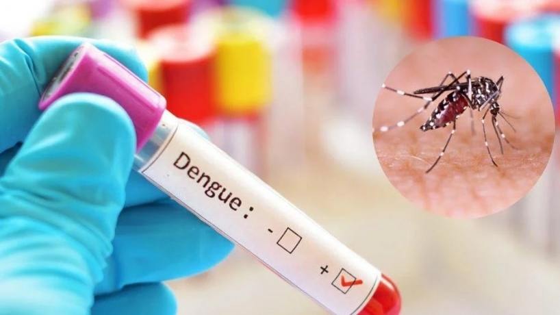 Descartada muerte por Dengue en Caquetá.