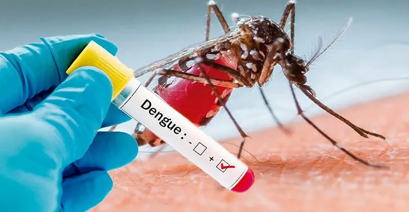 Alerta por dengue en Florencia