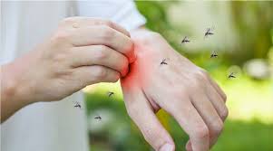 Falta de recursos para casos de paludismo y leishmaniasis.