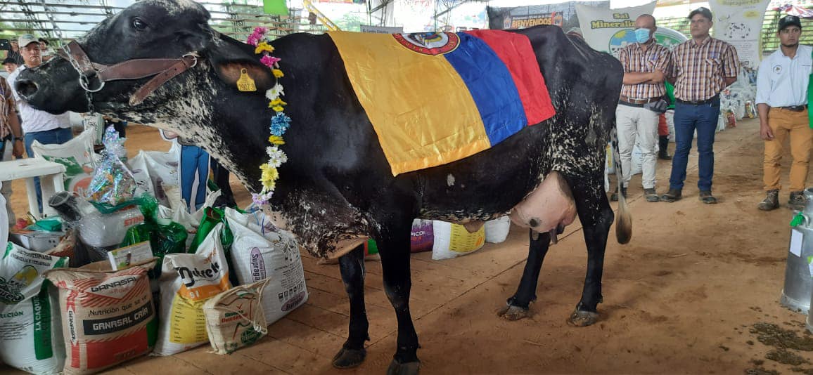 Record en concurso de la vaca lechera.
