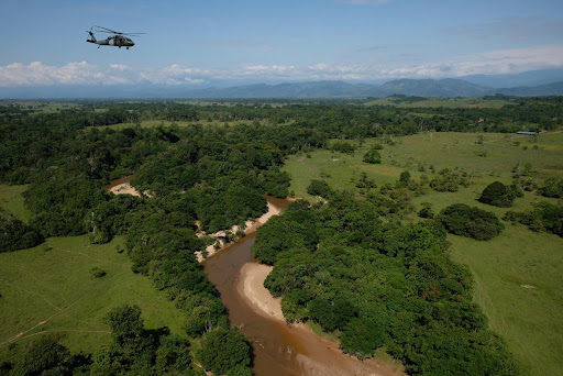25 Mil semillas fueron dispersas para reforestación.