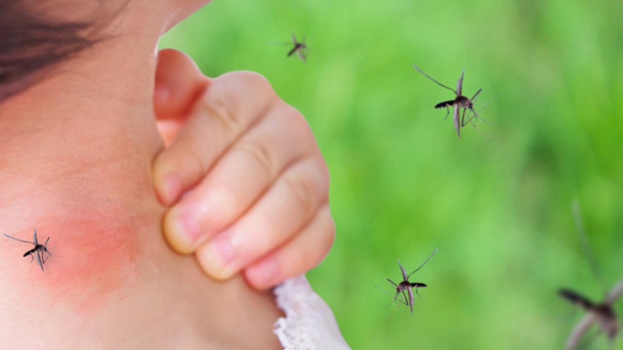 Mil 237 casos de dengue preocupan al Huila