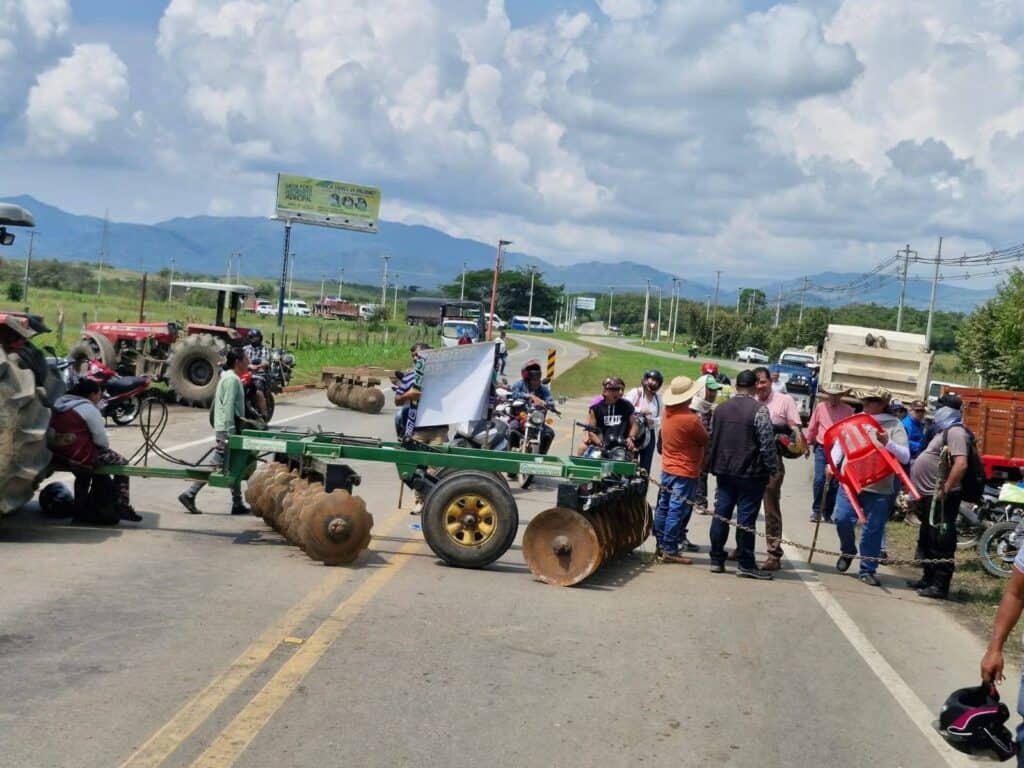 Productores de arroz en crisis por pérdidas millonarias y altos costos