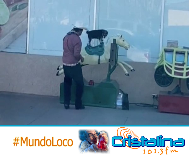 HOMBRE MONTÓ A SU PERRO EN UN CABALLITO MECÁNICO Y ENTERNECIÓ A MILES EN REDES SOCIALES