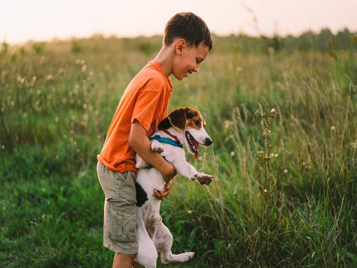 Vea el amor entre este perro y un niño
