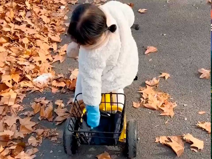 La forma de pasear una niña a su mascota
