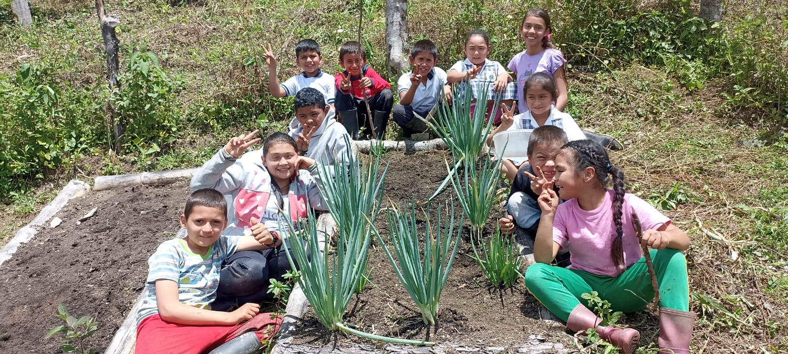 103 instituciones se postularon a la convocatoria de Proyectos Ambientales Escolares