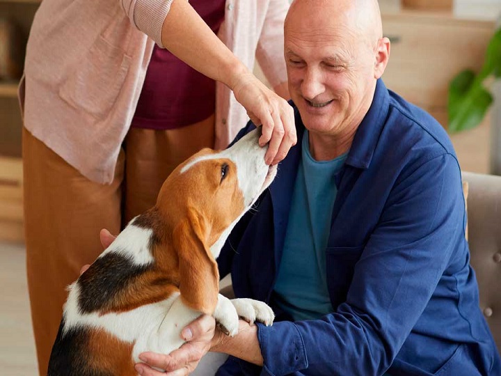 Par de perros hacen felices a uno adultos mayores