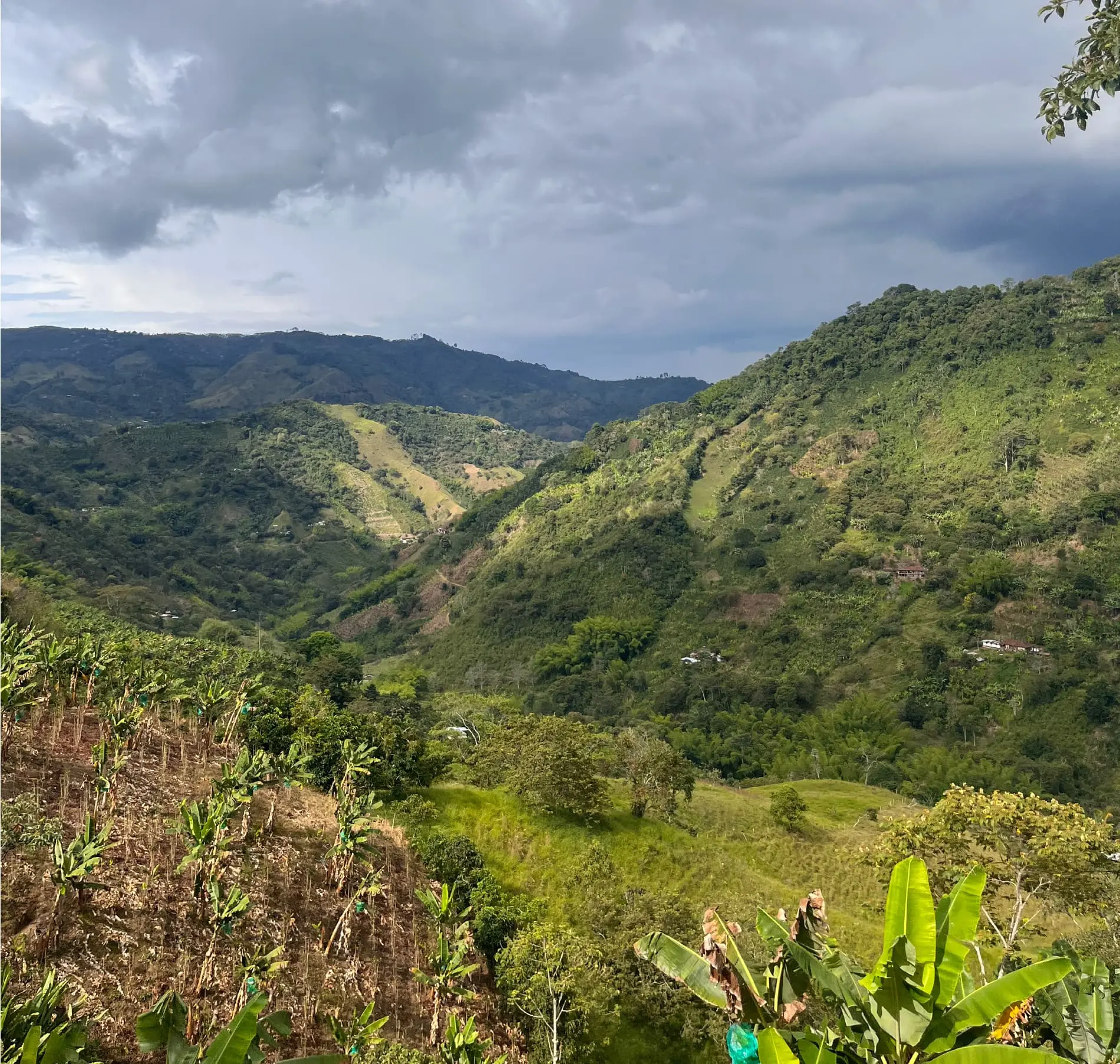 Ministerio de Agricultura y la Agencia Nacional de Tierras, trabajan en lo que será la reforma agraria en Caquetá