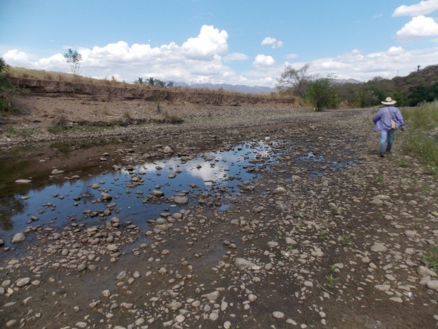 [AUDIO] ¡Atención! Alerta por represamiento del rio Aipe