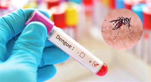 Persiste la alerta sanitaria por casos de Dengue