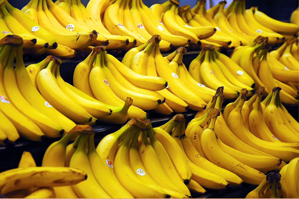Bananeros advierten riesgos para el empleo