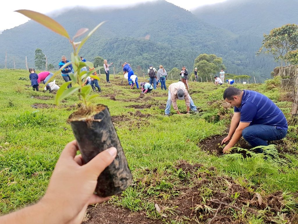 Florencia hará parte del ´Reto por la Amazonía´.