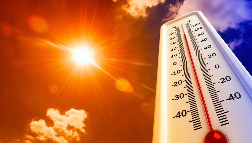 Las altas temperatura en Neiva están afectando la agricultura