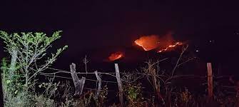 [AUDIO] Incendio afecta varias hectáreas de bosque en Tarqui