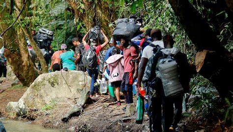 Más de 78 mil migrantes pasaron por las selvas del Darién