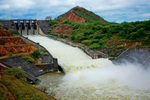 ¡Al límite! Embalses de Betania y El Quimbo alcanzan niveles históricos y ponen en jaque al sector acuícola del Huila