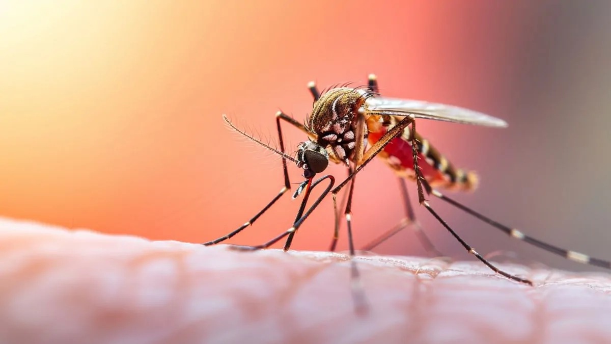 En tres comunas de la ciudad se intensificará campañas de vacunación contra fiebre amarilla, por riesgo epidemiológico