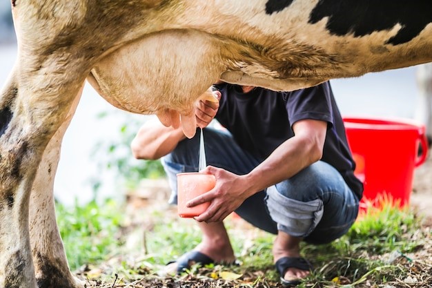 Disminución de leche en el departamento del Huila