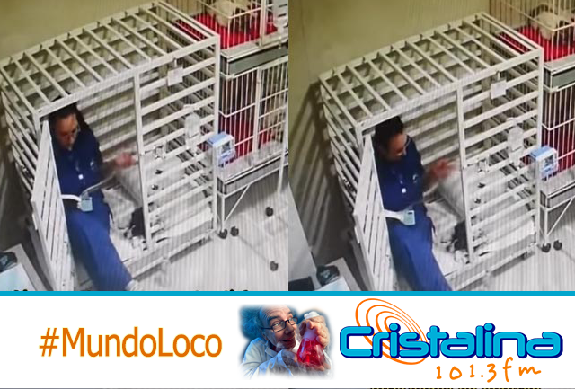 VETERINARIA LEE CUENTO PARA DORMIR A UN PERRITO