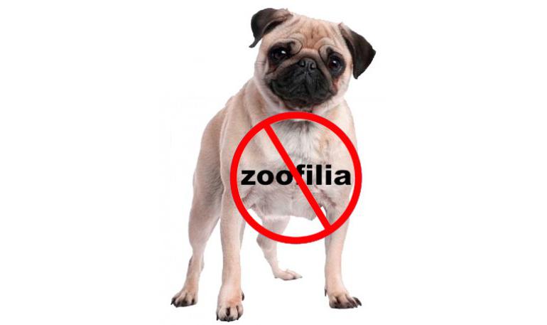 Preocupante caso de Zoofilia en el Caquetá.
